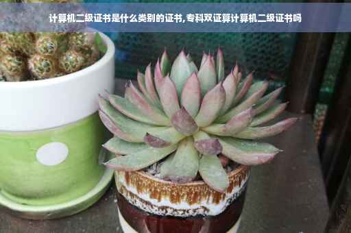 计算机二级证书是什么类别的证书,专科双证算计算机二级证书吗