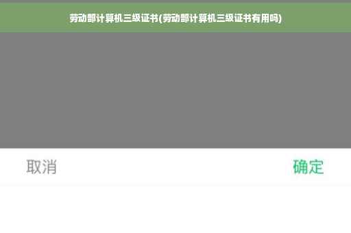 劳动部计算机三级证书(劳动部计算机三级证书有用吗)