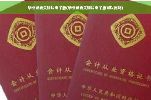 毕业证丢失照片电子版(毕业证丢失照片电子版可以用吗)