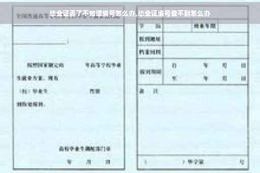 毕业证丢了不知道编号怎么办,毕业证编号查不到怎么办