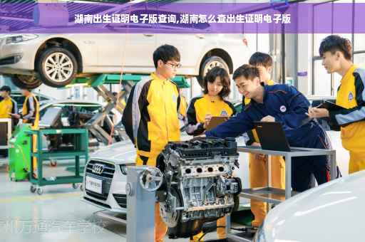 湖南出生证明电子版查询,湖南怎么查出生证明电子版