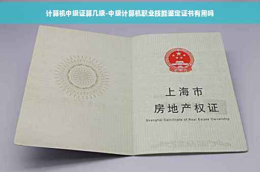 计算机中级证算几级-中级计算机职业技能鉴定证书有用吗