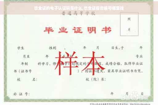 毕业证的电子认证码是什么,毕业证报告编号哪里找