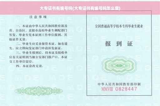 大专证书有编号吗(大专证书有编号吗怎么查)