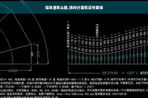 信息港怎么做,铁岭计算机证书查询