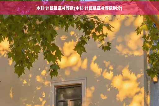 本科 计算机证书等级(本科 计算机证书等级划分)