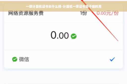 一级计算机证书长什么样-计算机一级证书是干嘛的用