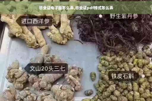 毕业证电子版怎么弄,毕业证pdf格式怎么弄