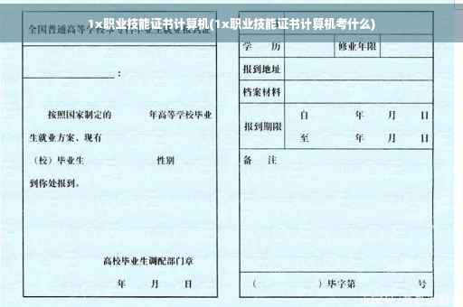 1x职业技能证书计算机(1x职业技能证书计算机考什么)