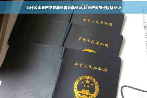 为什么比亚迪中专毕业需要毕业证,比亚迪要电子版毕业证