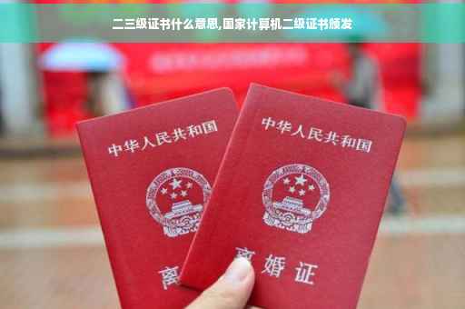 二三级证书什么意思,国家计算机二级证书颁发
