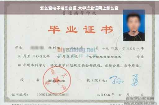 怎么查电子档毕业证,大学毕业证网上怎么查
