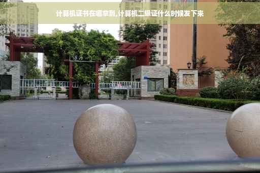计算机证书在哪拿到,计算机二级证什么时候发下来
