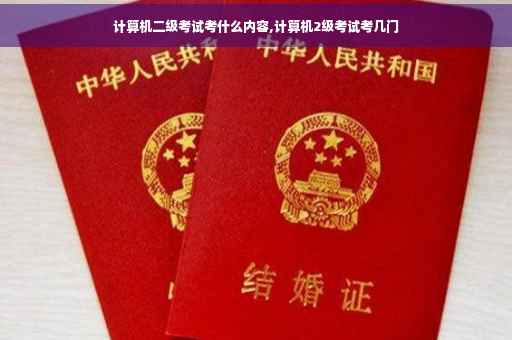 计算机二级考试考什么内容,计算机2级考试考几门