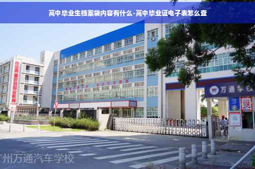 高中毕业生档案袋内容有什么-高中毕业证电子表怎么查