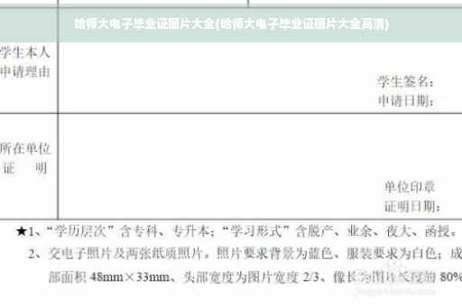 哈师大电子毕业证图片大全(哈师大电子毕业证图片大全高清)