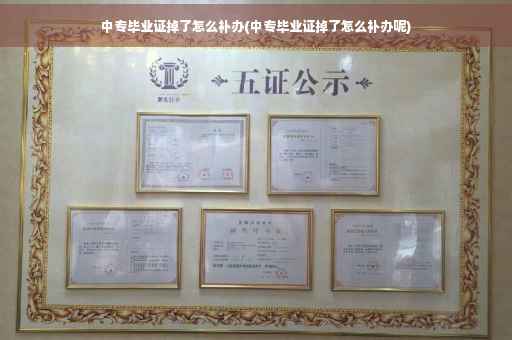 中专毕业证掉了怎么补办(中专毕业证掉了怎么补办呢)