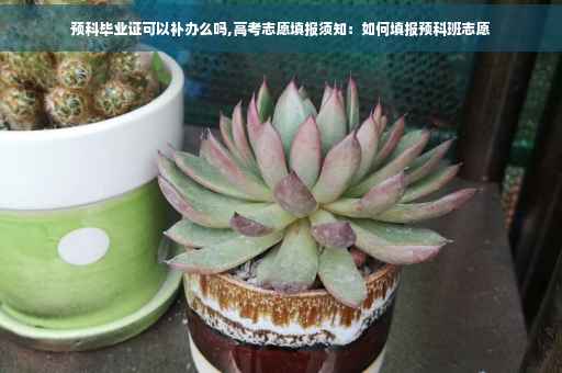 预科毕业证可以补办么吗,高考志愿填报须知：如何填报预科班志愿