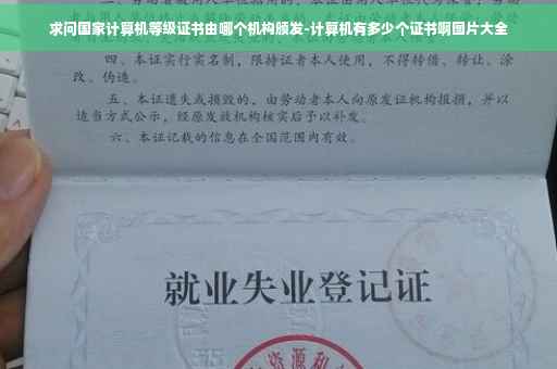 求问国家计算机等级证书由哪个机构颁发-计算机有多少个证书啊图片大全