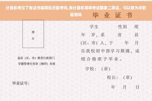 计算机考过了有证书嘛现在还能考吗,有计算机等级考试国家二级证，可以做为评职称用吗