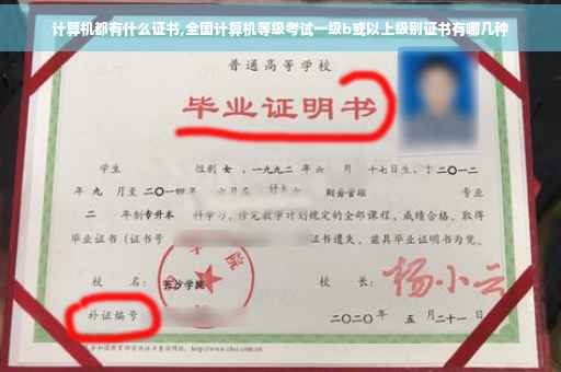 计算机都有什么证书,全国计算机等级考试一级b或以上级别证书有哪几种