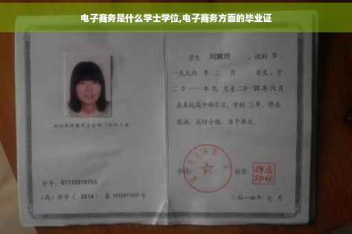 电子商务是什么学士学位,电子商务方面的毕业证