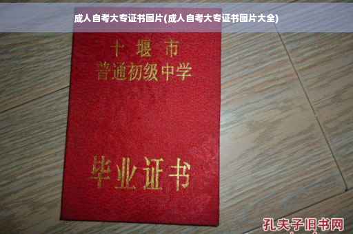 成人自考大专证书图片(成人自考大专证书图片大全)