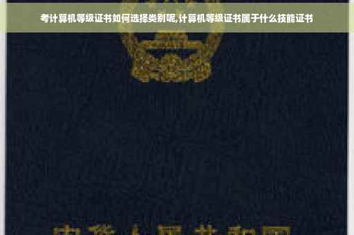 考计算机等级证书如何选择类别呢,计算机等级证书属于什么技能证书