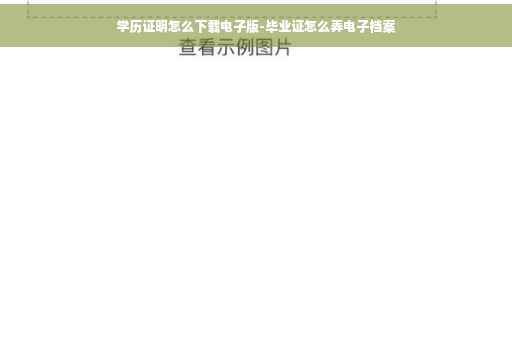 学历证明怎么下载电子版-毕业证怎么弄电子档案