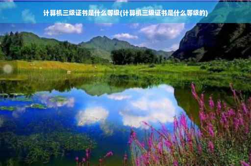 计算机三级证书是什么等级(计算机三级证书是什么等级的)