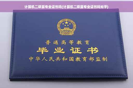 计算机二级算专业证书吗(计算机二级算专业证书吗知乎)