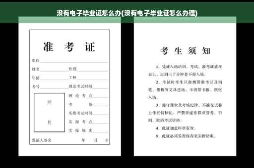 没有电子毕业证怎么办(没有电子毕业证怎么办理)