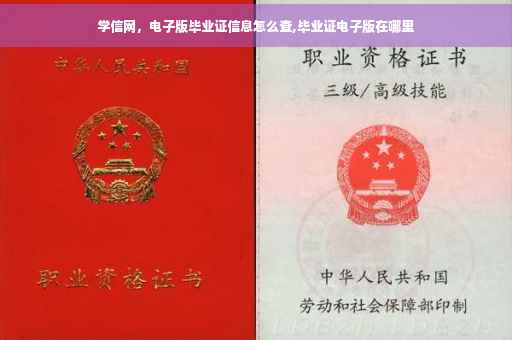 学信网，电子版毕业证信息怎么查,毕业证电子版在哪里