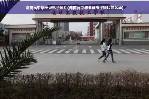 湖南高中毕业证电子照片(湖南高中毕业证电子照片怎么弄)