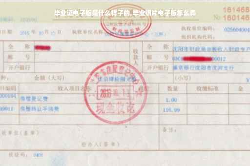 毕业证电子版是什么样子的,毕业照片电子版怎么弄