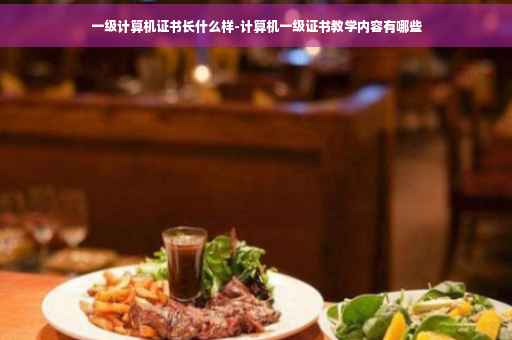 一级计算机证书长什么样-计算机一级证书教学内容有哪些