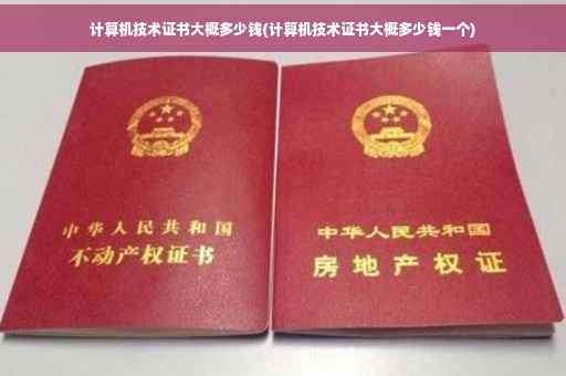 计算机技术证书大概多少钱(计算机技术证书大概多少钱一个)