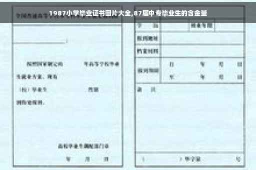 1987小学毕业证书图片大全,87届中专毕业生的含金量