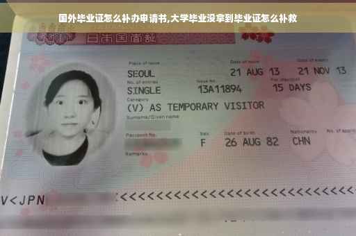 国外毕业证怎么补办申请书,大学毕业没拿到毕业证怎么补救