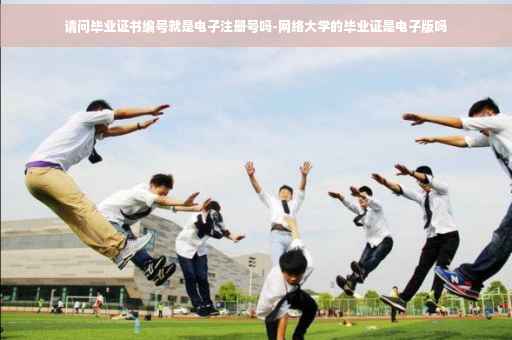 请问毕业证书编号就是电子注册号吗-网络大学的毕业证是电子版吗
