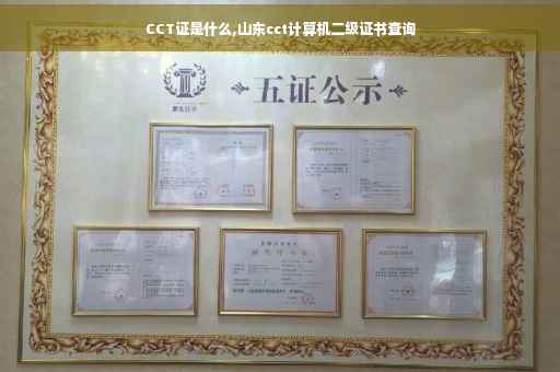 CCT证是什么,山东cct计算机二级证书查询