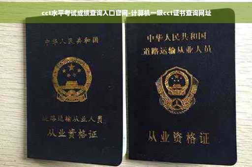 cct水平考试成绩查询入口官网-计算机一级cct证书查询网址