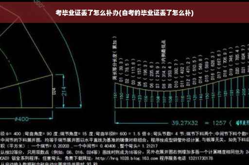 考毕业证丢了怎么补办(自考的毕业证丢了怎么补)
