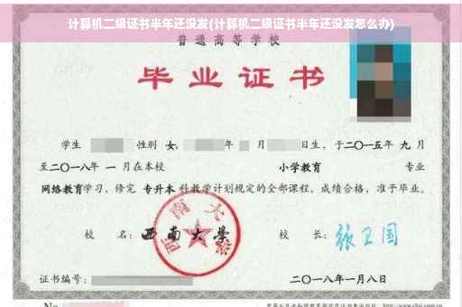 计算机二级证书半年还没发(计算机二级证书半年还没发怎么办)