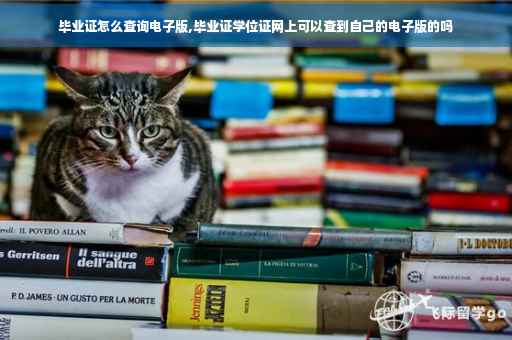 毕业证怎么查询电子版,毕业证学位证网上可以查到自己的电子版的吗