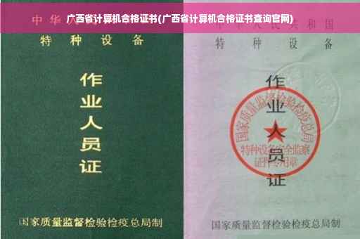 广西省计算机合格证书(广西省计算机合格证书查询官网)