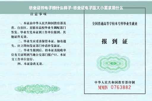 毕业证书电子档什么样子-毕业证电子版大小要求是什么