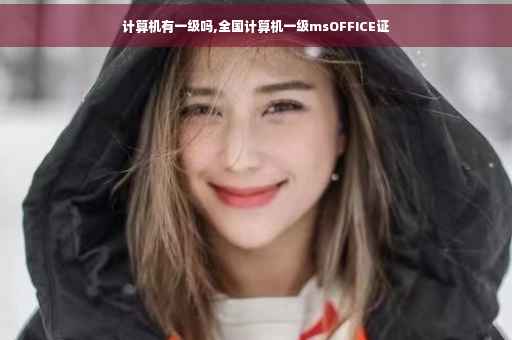 计算机有一级吗,全国计算机一级msOFFICE证
