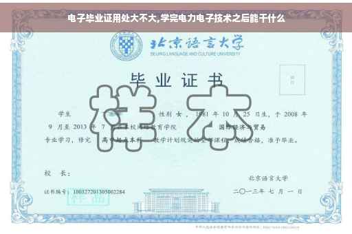 电子毕业证用处大不大,学完电力电子技术之后能干什么