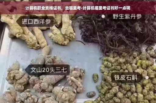 计算机职业资格证书，去哪里考-计算机哪里考证书好一点呢